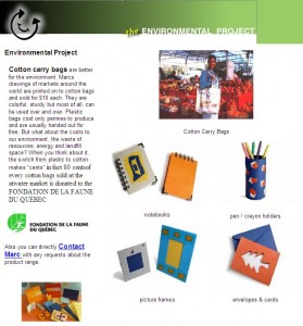 Environmentally Friendly Bags