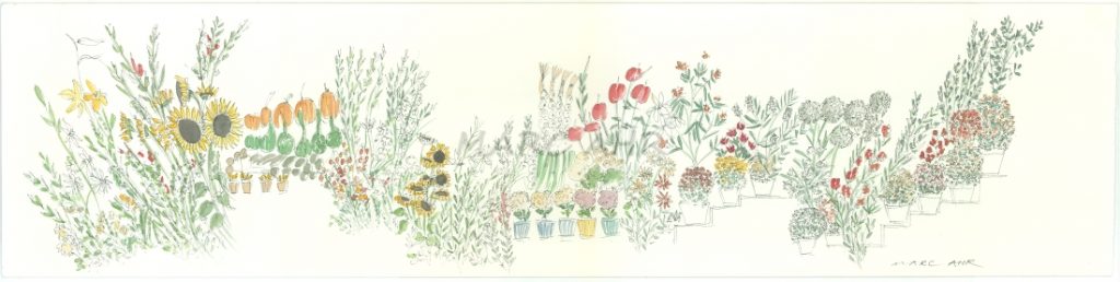 Sun Flowers. Montreal